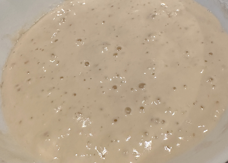 Sourdough Starter