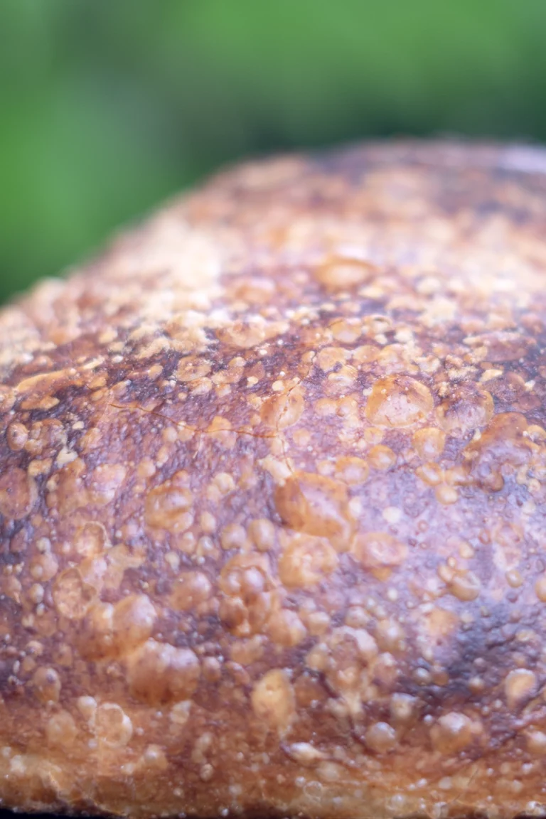 How to Get Large Blisters on Your Sourdough Crust