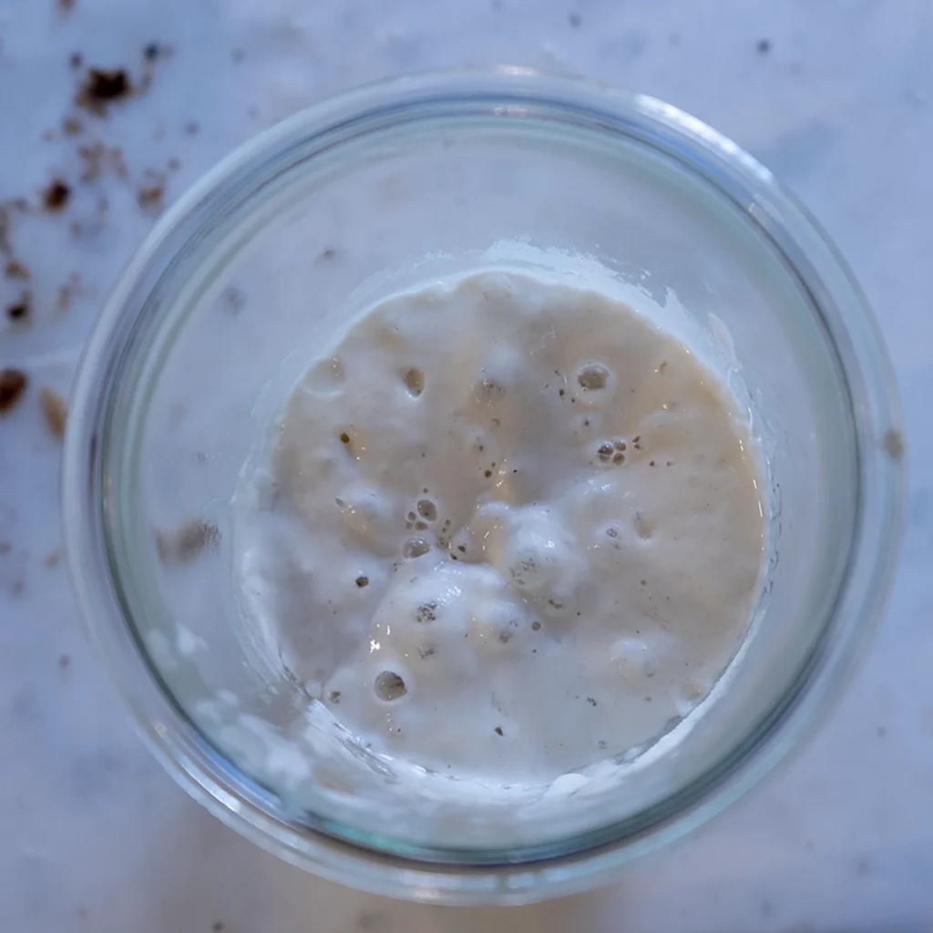 How to Make a Sourdough Starter From Scratch