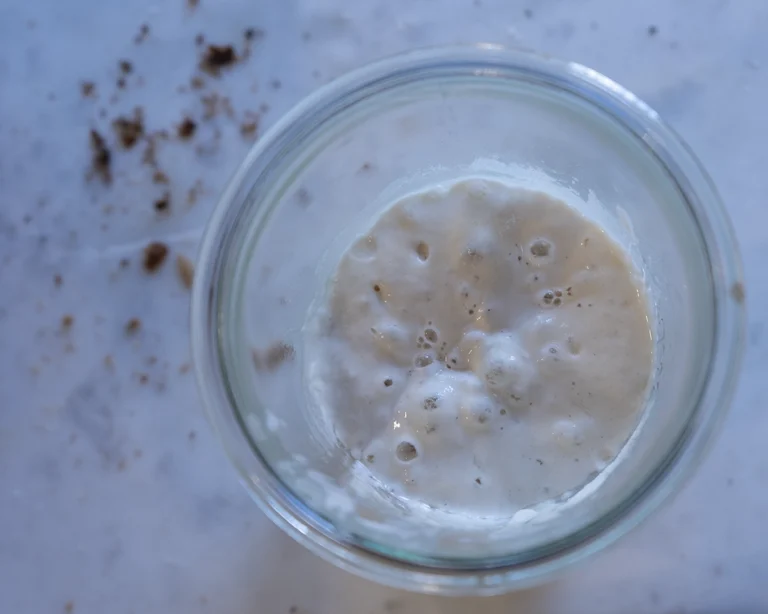 How to Read Levain Feeding Ratios