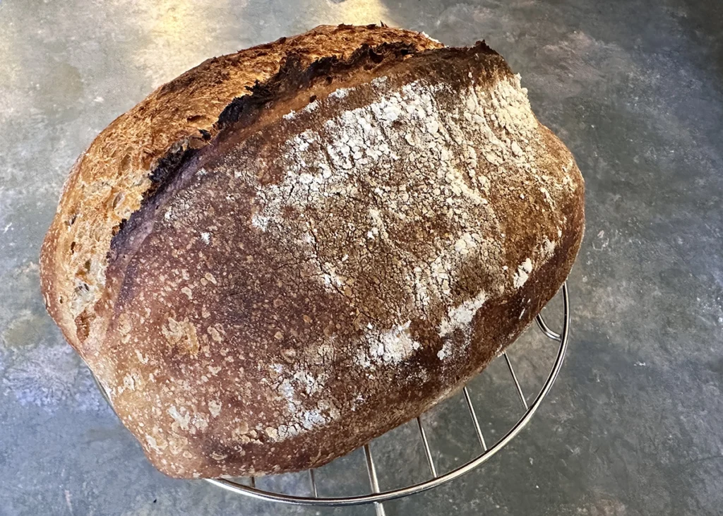 Sourdough White Bread Loaf